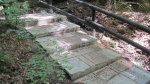 prev_1434370501_02_C_Mezna.jpg