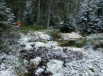 prev_1702544972_42.JPG